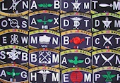 Navy Enlisted Ratings Patches
